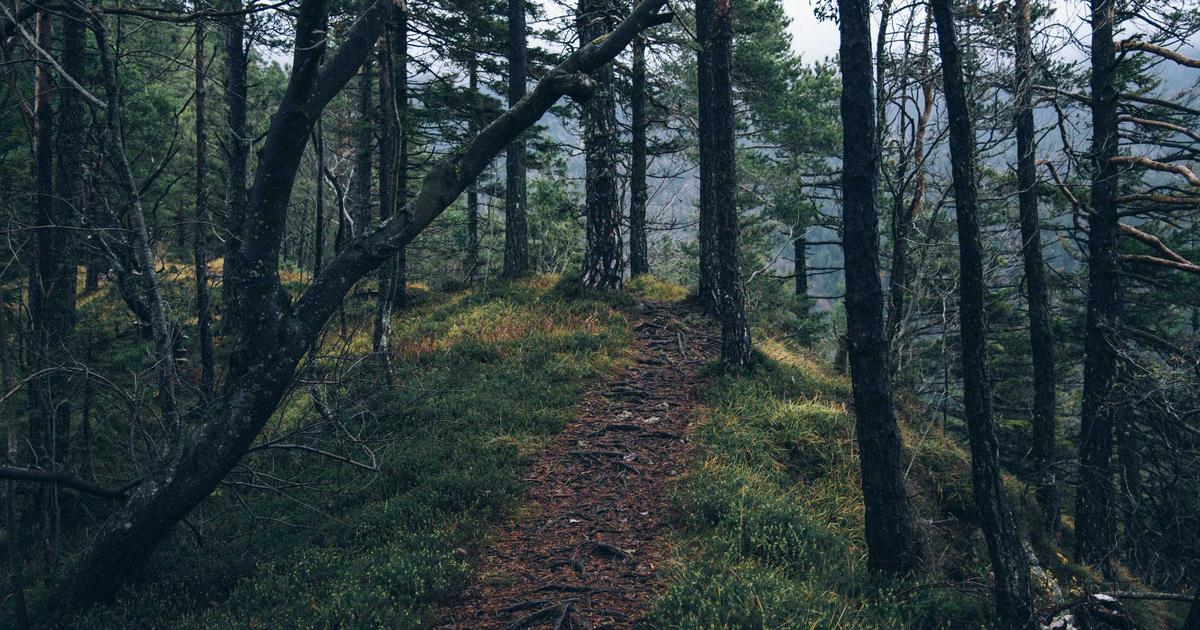 Crnogorski odbojkaši se spremaju za kvalifikacije